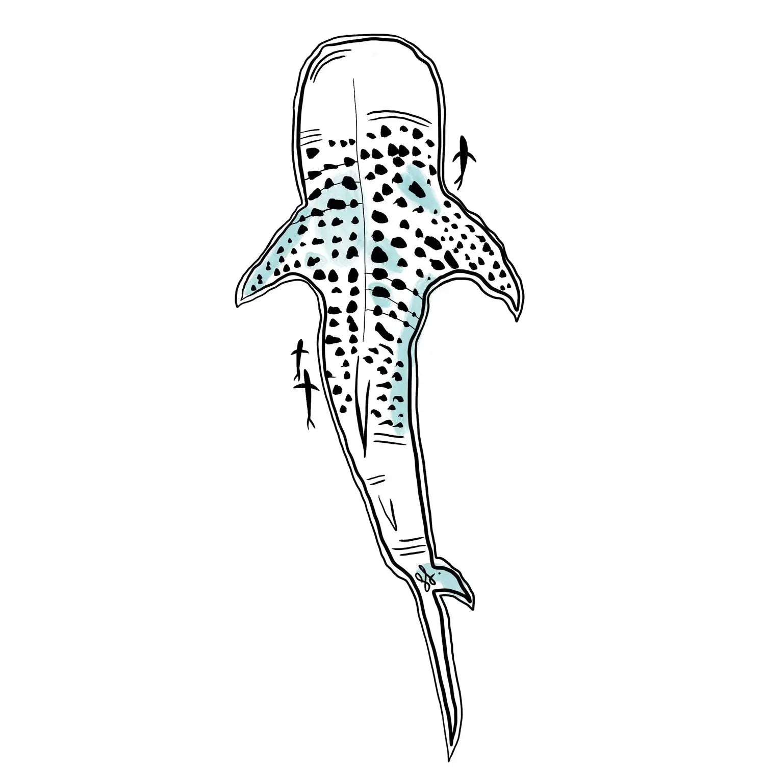 Sophie Fletcher Stickers - XL - BOARDSOX®