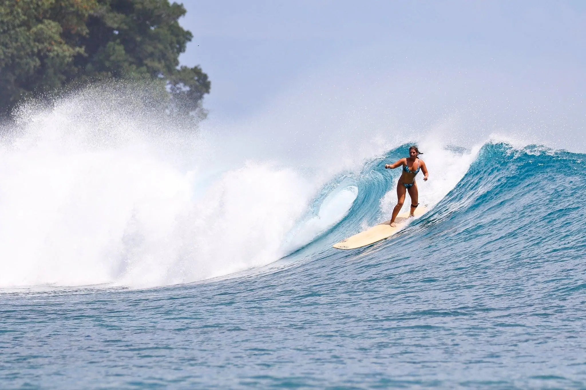 Boardsox Welcomes Queen Kirra - BOARDSOX®