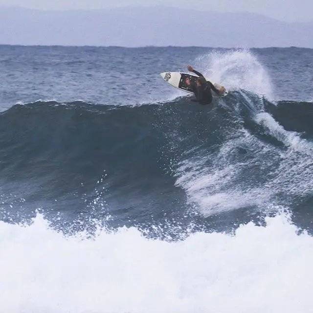 Shred -head of the Week - BOARDSOX®